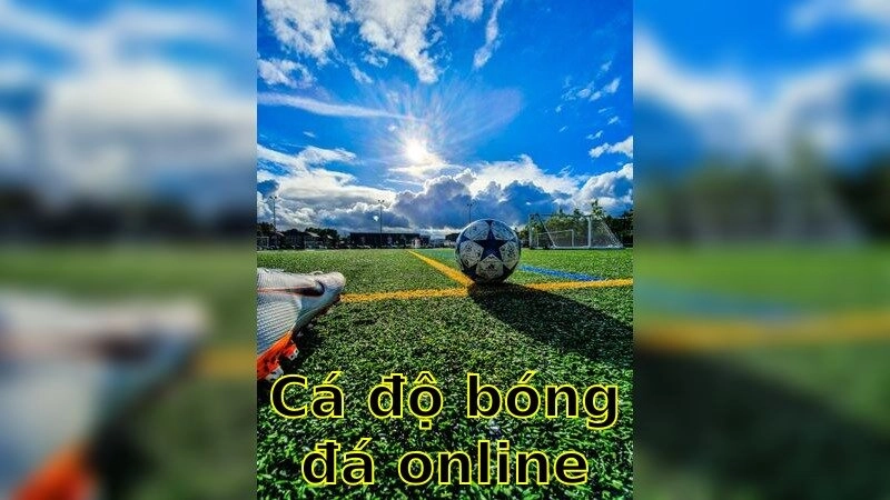 Cá Độ Bóng Đá Online – Trải Nghiệm Đỉnh Cao 2025