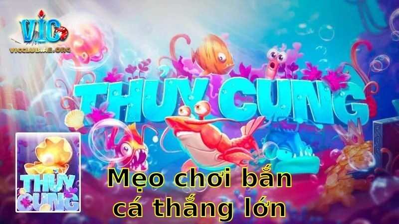 Mẹo Chơi Bắn Cá Thắng Lớn 2025 – Bí Quyết Chiến Thắng Không Thể Bỏ Qua