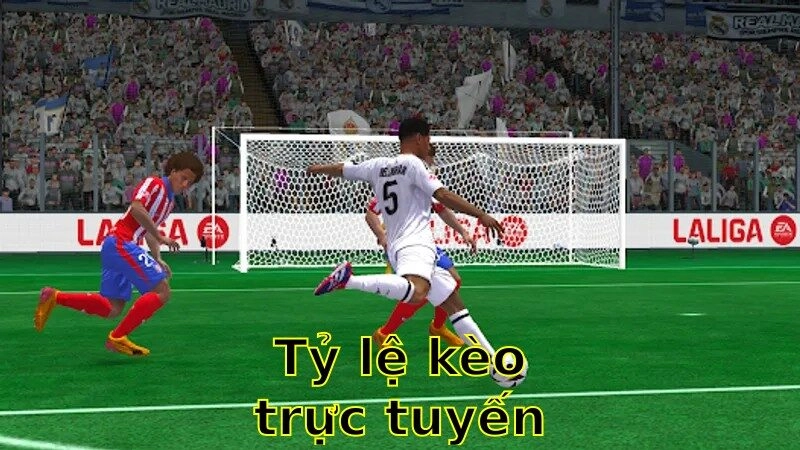 Tỷ Lệ Kèo Trực Tuyến – Theo Dõi Ngay 2025